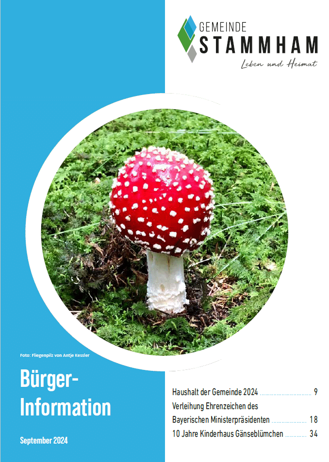 Buerger-Information_03