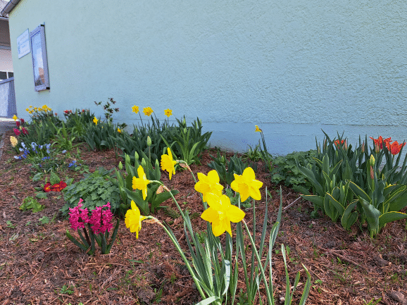 OGV_Stammham_Fruehjahr_2024.jpg_resized_2